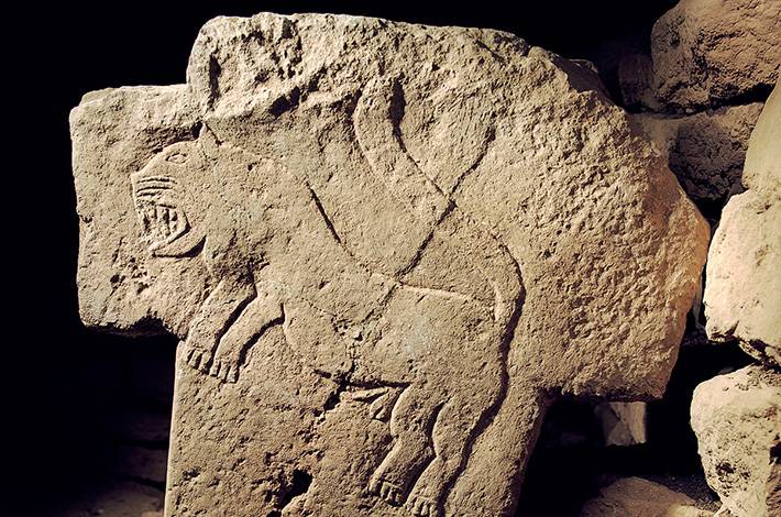 Şanlıurfa Göbeklitepe Ruins  Stell Reliefs  lion fox lizards and reptiles Phallus Archaeology
