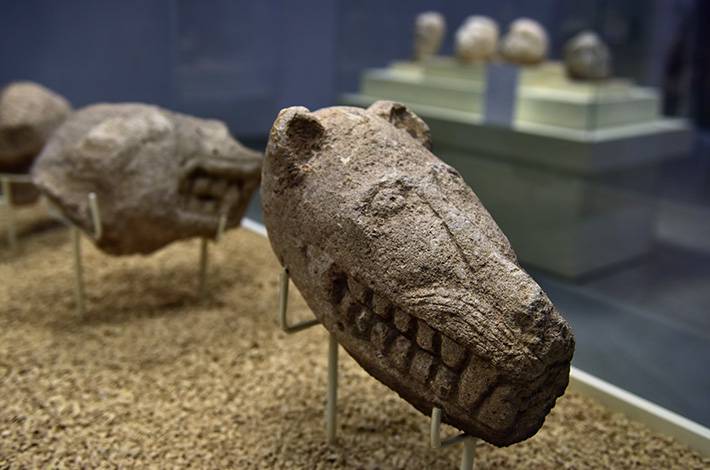 Sanlıurfa Museum and Haleplibahce Mosaic Museum Göbeklitepe finds  head of predatory animal